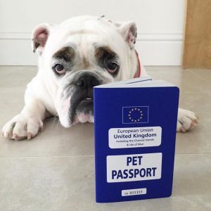 pet passport