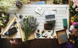 empresa en bulgaria para expats